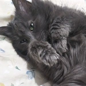 Meet your Posher, Jaiden